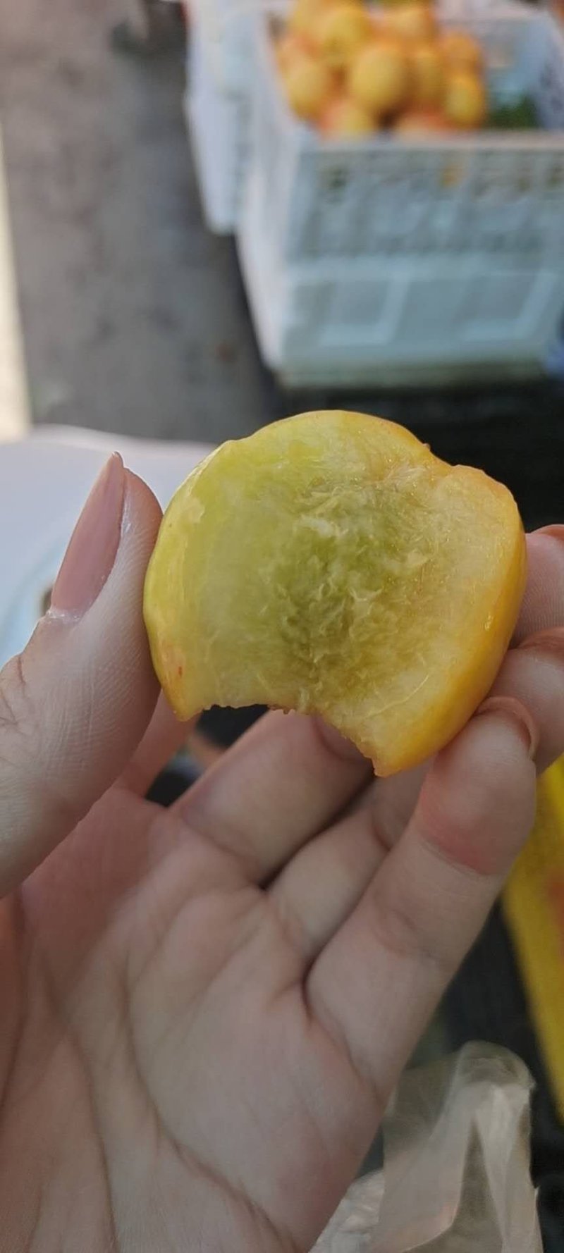 敦煌特产李广杏色泽金黄肉质细腻水润口感甘甜可口航空快递