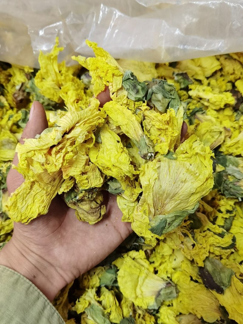 精品黄蜀葵花黄葵花新货颜色正干净无硫