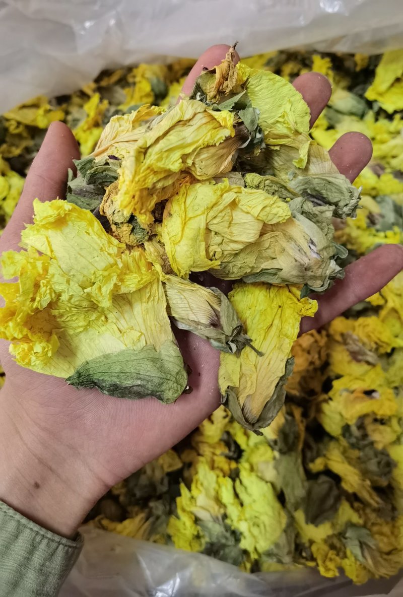精品黄蜀葵花黄葵花新货颜色正干净无硫
