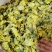 精品黄蜀葵花黄葵花新货颜色正干净无硫
