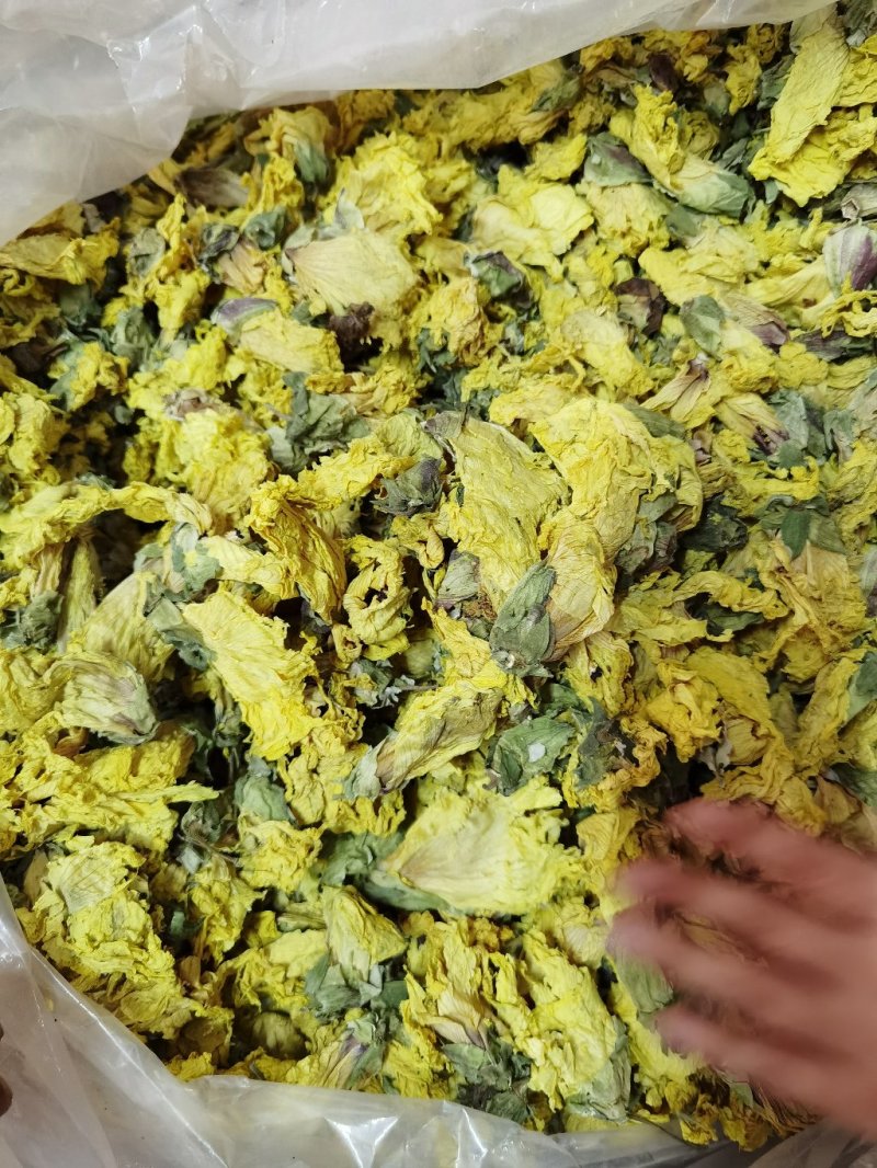 精品黄蜀葵花黄葵花新货颜色正干净无硫
