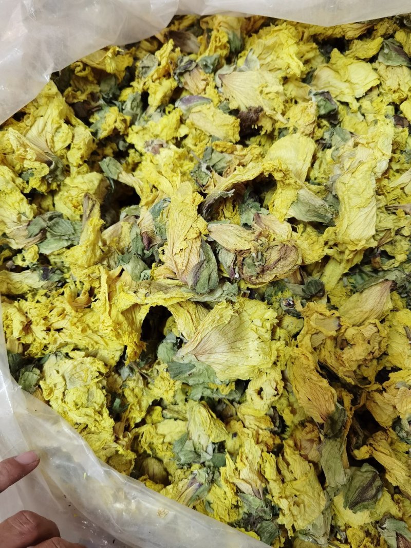 精品黄蜀葵花黄葵花新货颜色正干净无硫