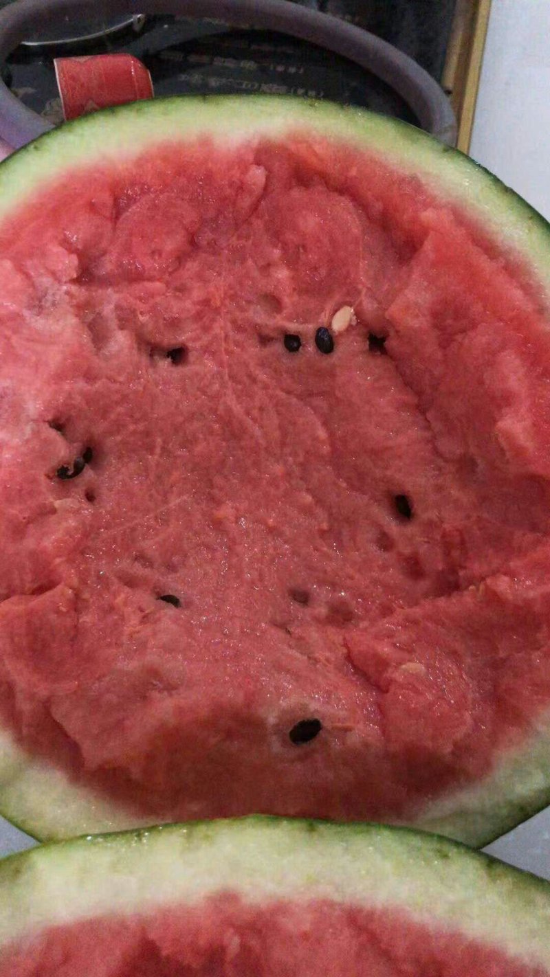吊瓜黄壤西瓜金花1号