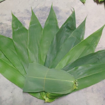 新鲜粽子叶端午节特级粽子叶，竹叶，粽子叶，粽叶