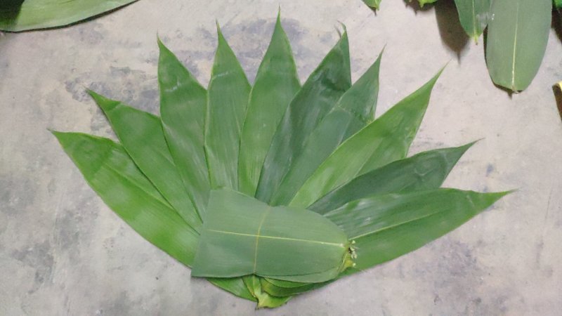 新鲜粽子叶端午节特级粽子叶，竹叶，粽子叶，粽叶