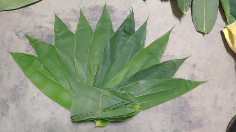新鲜粽子叶端午节特级粽子叶，竹叶，粽子叶，粽叶
