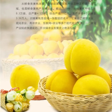 炎陵伊农种养殖农民专业合作社