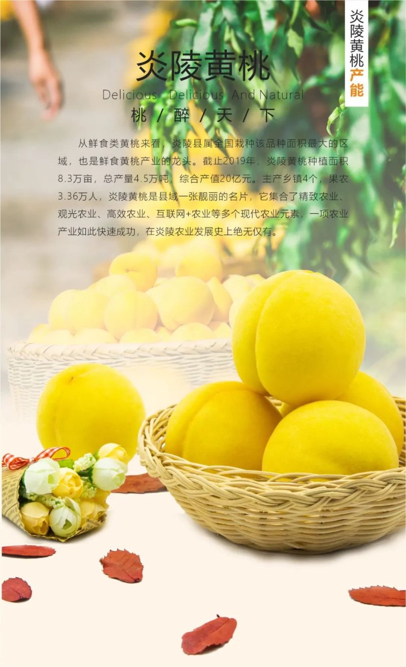 炎陵伊农种养殖农民专业合作社