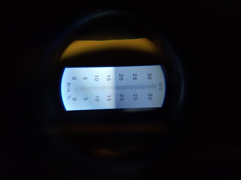 纯沙土巨峰，糖度17--20，口感酸甜超好吃，不齁不腻！