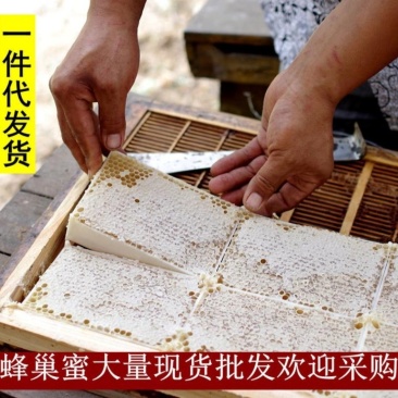 蜂巢蜜【好货推荐】蜂蜜精品盒装蜂巢蜜，无添加蜂巢蜜，