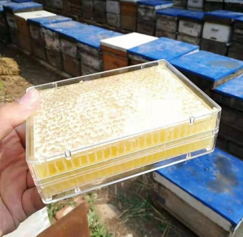 蜂巢蜜【好货推荐】蜂蜜精品盒装蜂巢蜜，无添加蜂巢蜜，