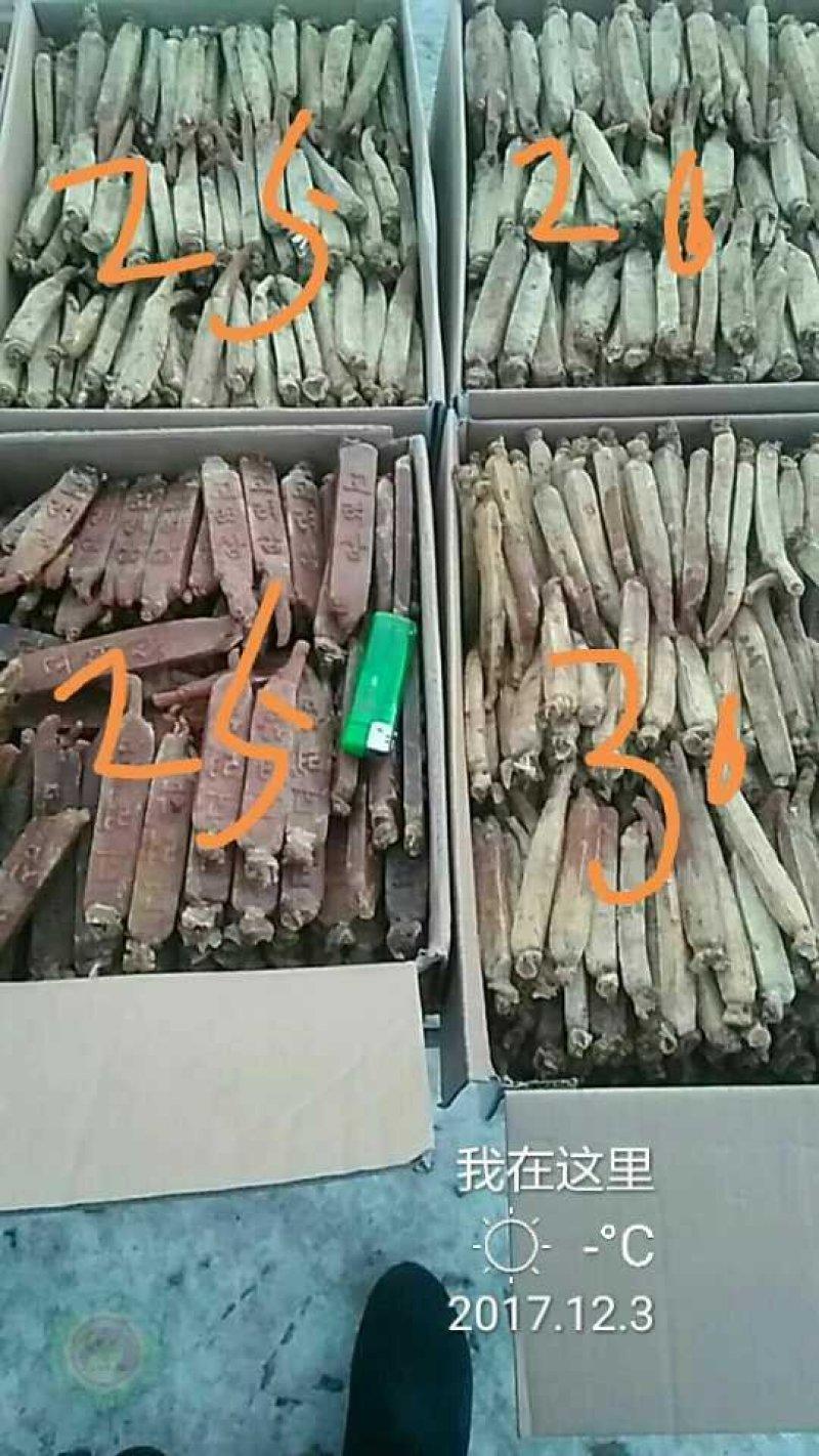 【黄马褂高丽参】黄马褂高丽参压块精品无糖包邮