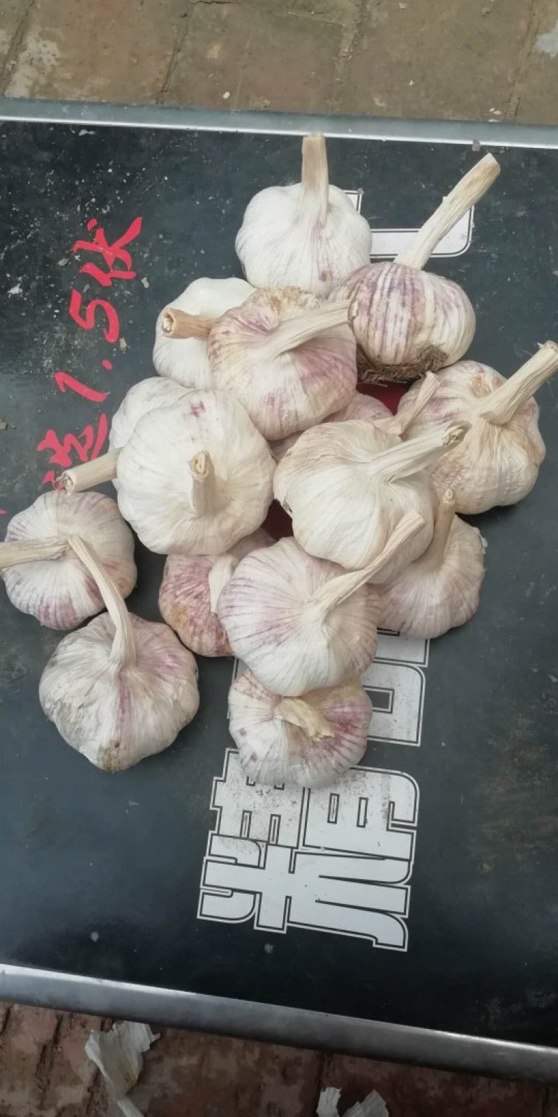 精品大蒜，蒜头，扒皮蒜，紫皮大蒜，把蒜，把子蒜