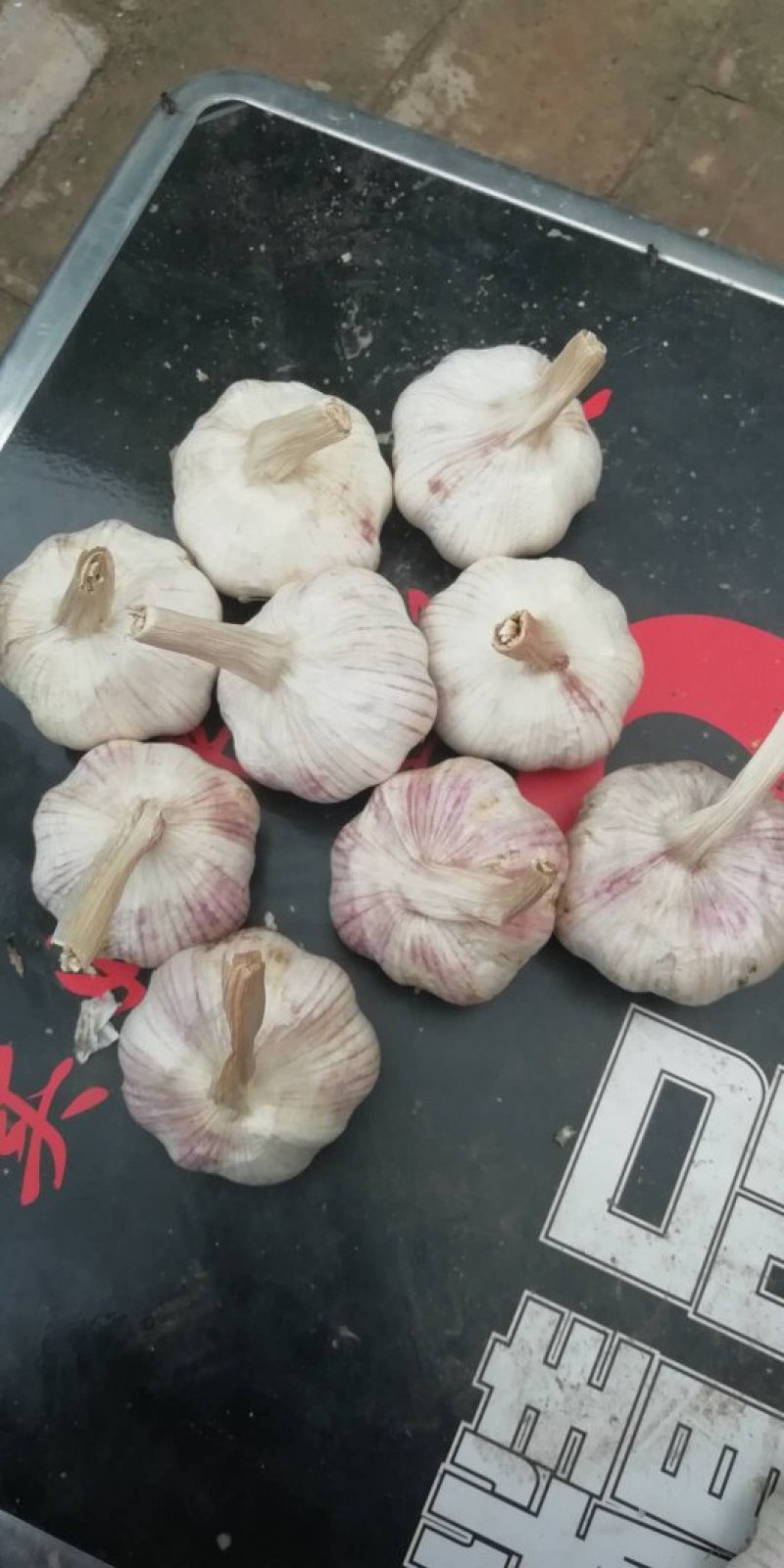 精品大蒜，蒜头，扒皮蒜，紫皮大蒜，把蒜，把子蒜