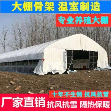 养殖大棚全套养鸡棚鹅猪牛棚羊棚专业家用种植钢管温室大棚骨