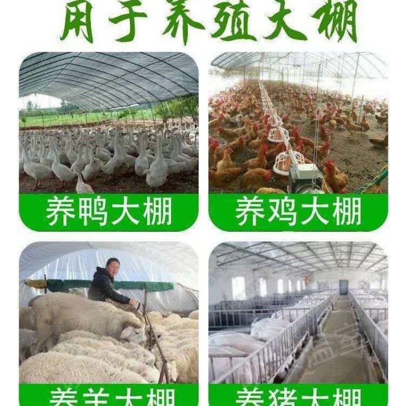 养殖大棚全套养鸡棚鹅猪牛棚羊棚专业家用种植钢管温室大棚骨