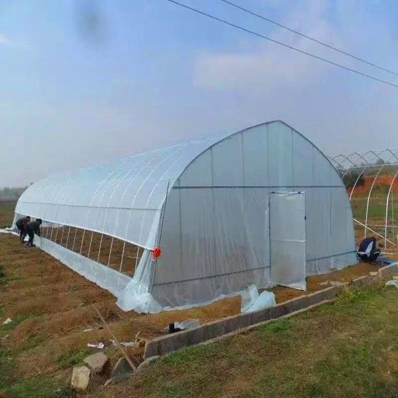 养殖大棚全套养鸡棚鹅猪牛棚羊棚专业家用种植钢管温室大棚骨
