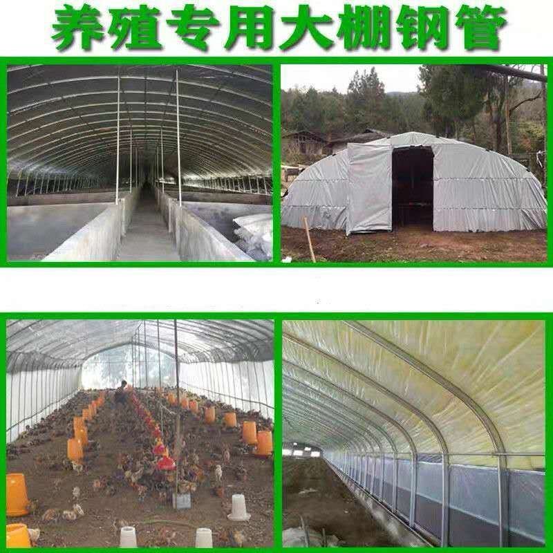 养殖大棚全套养鸡棚鹅猪牛棚羊棚专业家用种植钢管温室大棚骨