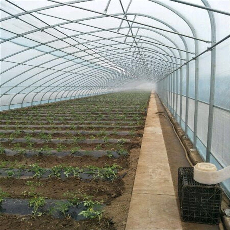 养殖大棚全套养鸡棚鹅猪牛棚羊棚专业家用种植钢管温室大棚骨