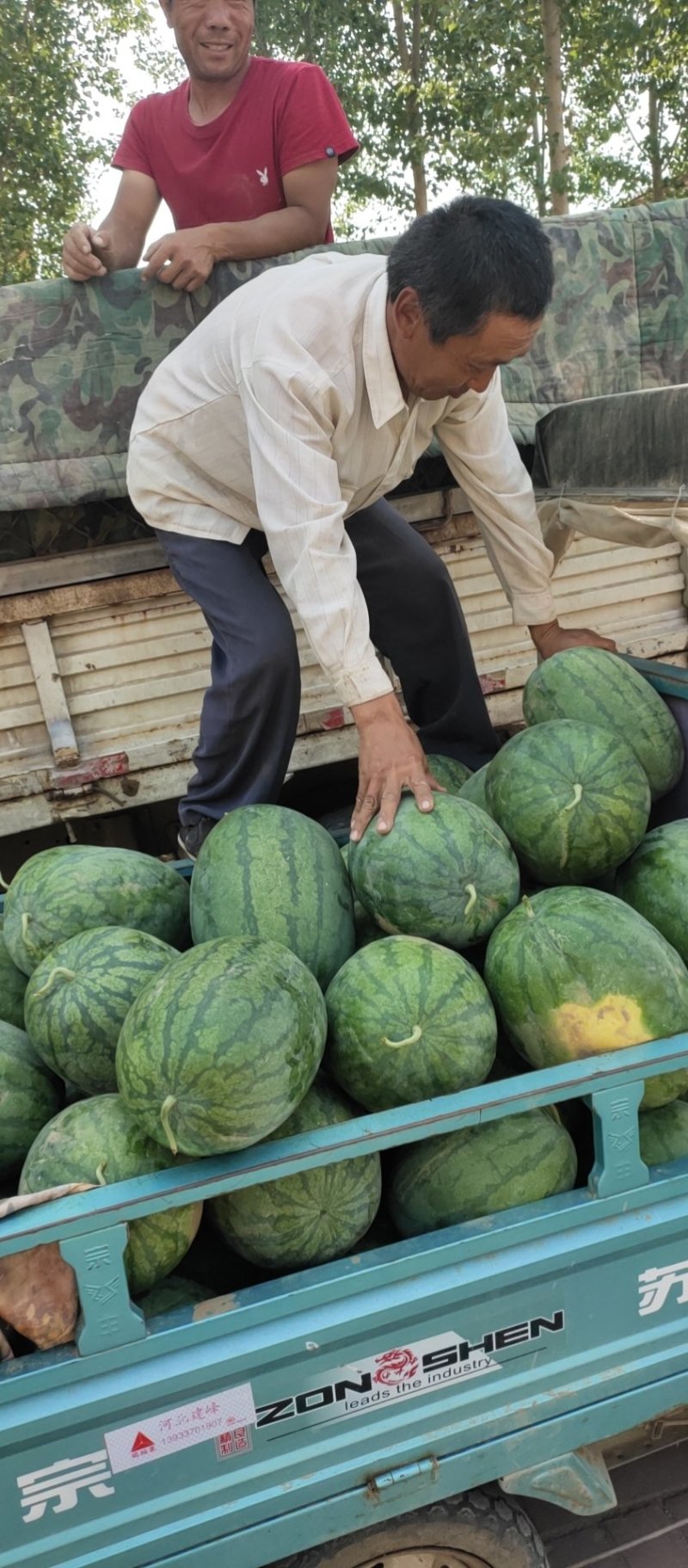 西瓜龙卷风
