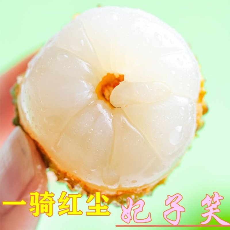 妃子笑荔枝，果园现摘应季当季荔枝水果整箱