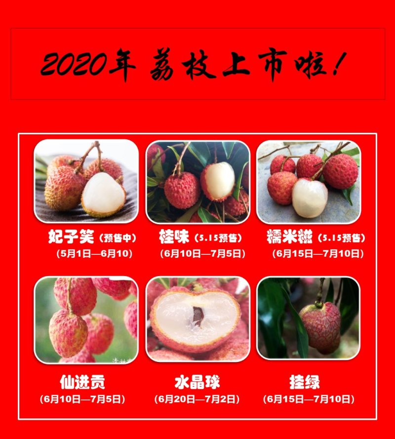妃子笑荔枝，果园现摘应季当季荔枝水果整箱