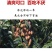 妃子笑荔枝，果园现摘应季当季荔枝水果整箱