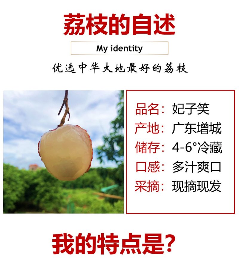 妃子笑荔枝，果园现摘应季当季荔枝水果整箱