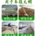 温室大棚骨架加工定做黑白膜养殖大棚无滴膜种植蔬菜风机水帘