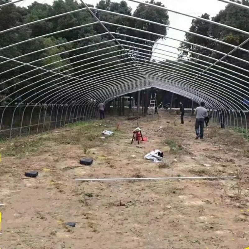 温室大棚骨架加工定做黑白膜养殖大棚无滴膜种植蔬菜风机水帘