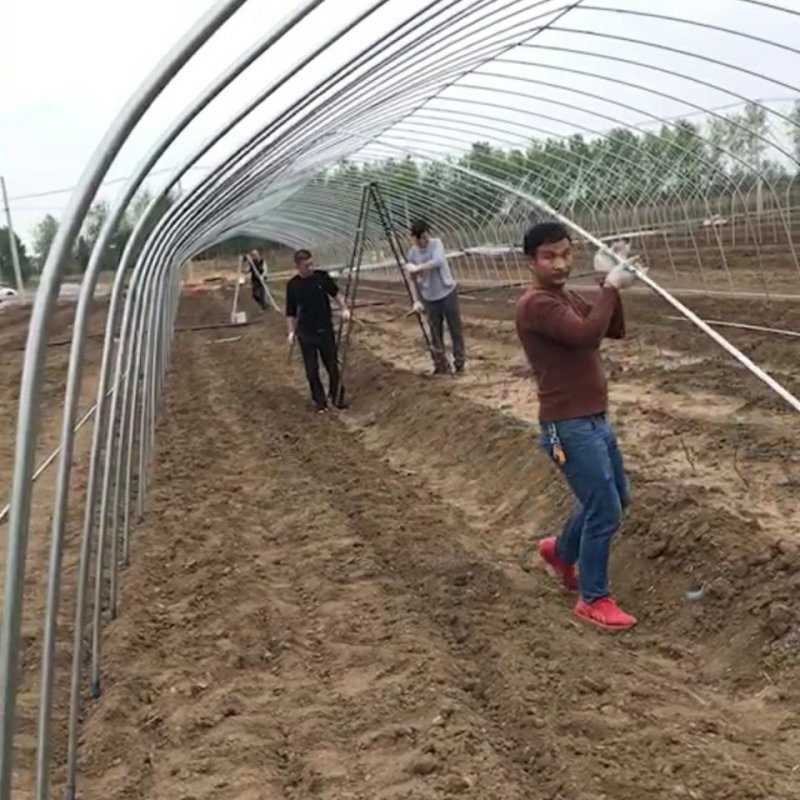 温室大棚骨架加工定做黑白膜养殖大棚无滴膜种植蔬菜风机水帘
