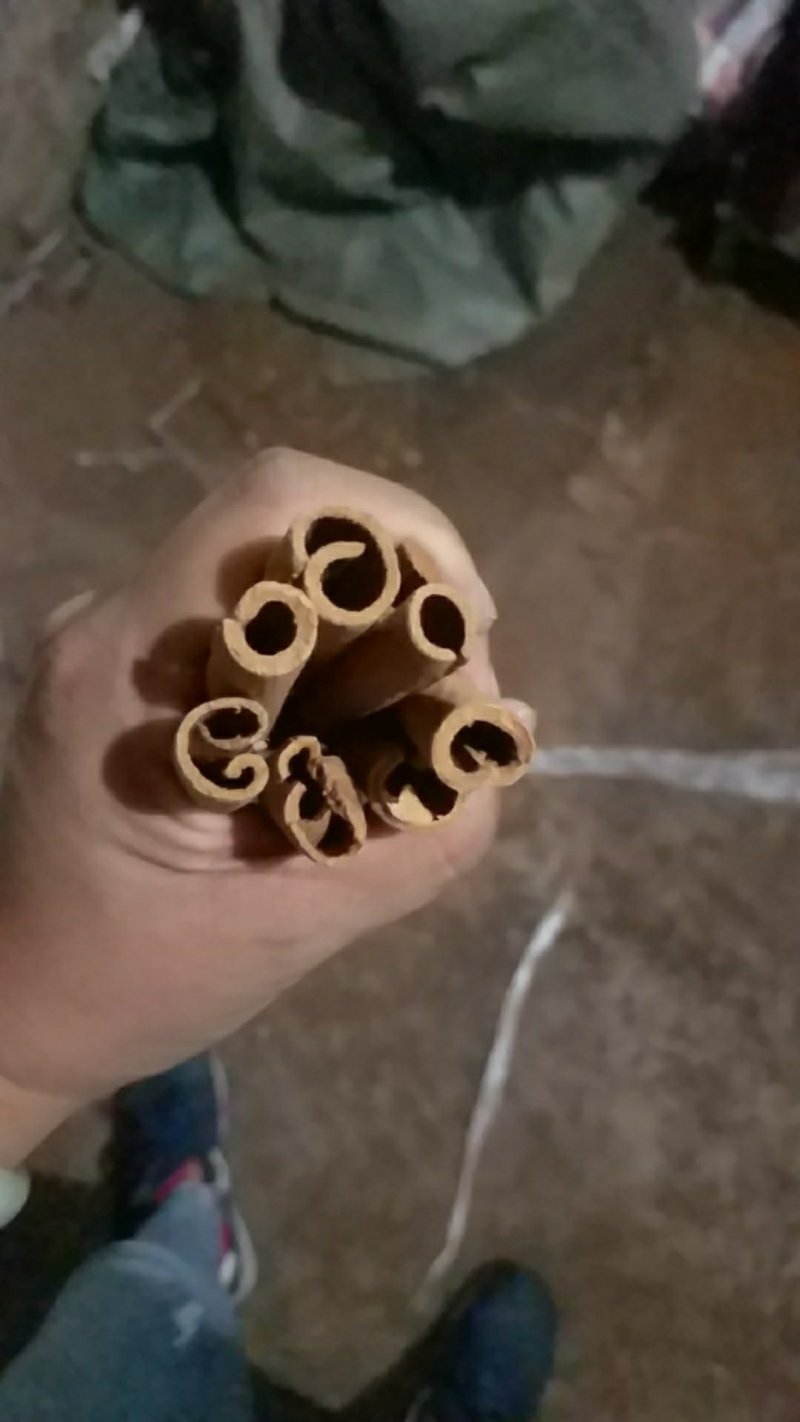 桂皮