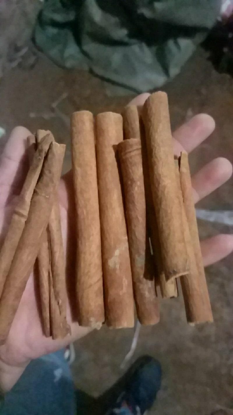 桂皮