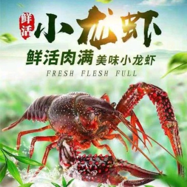 地下泉水养殖清爽干净鲜嫩亮壳小龙虾端午节备货！