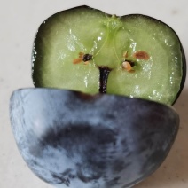 大果蓝莓，品质保障，量大从优预购从速