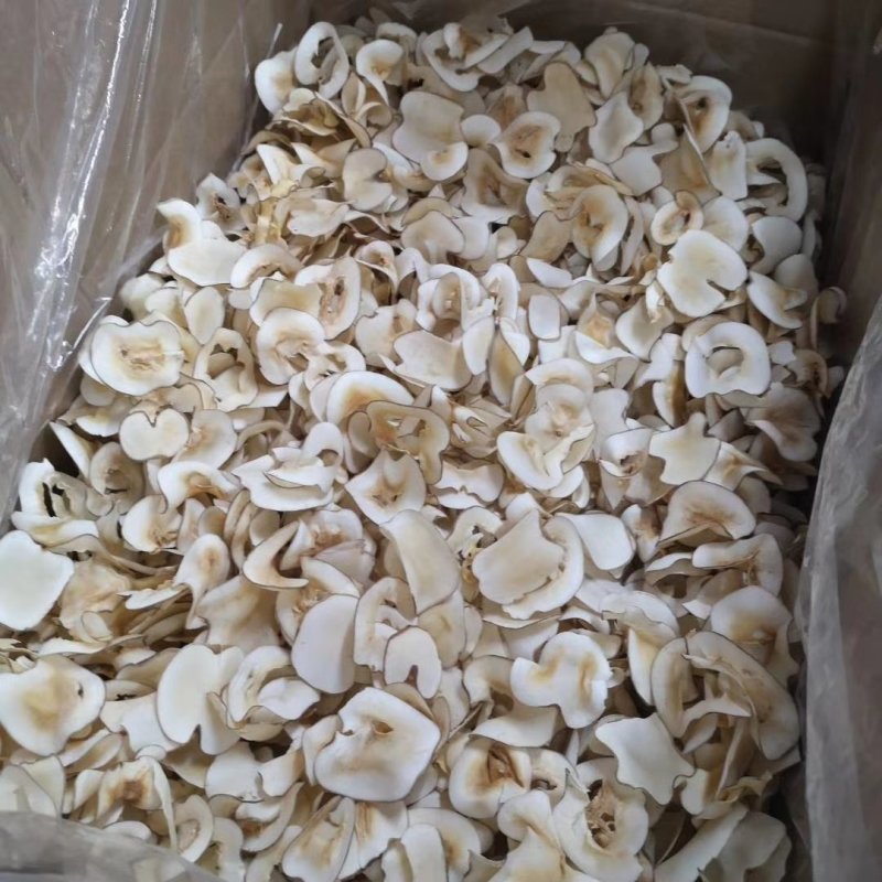 无硫海底椰片海底椰片新到货新货椰片