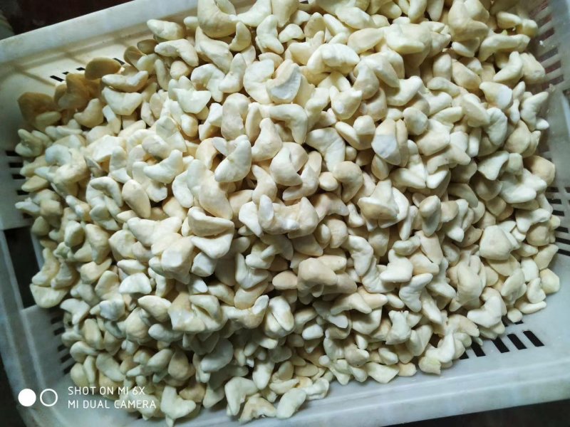 菱角湖北黄冈蕲春大别山牛角菱角青菱角