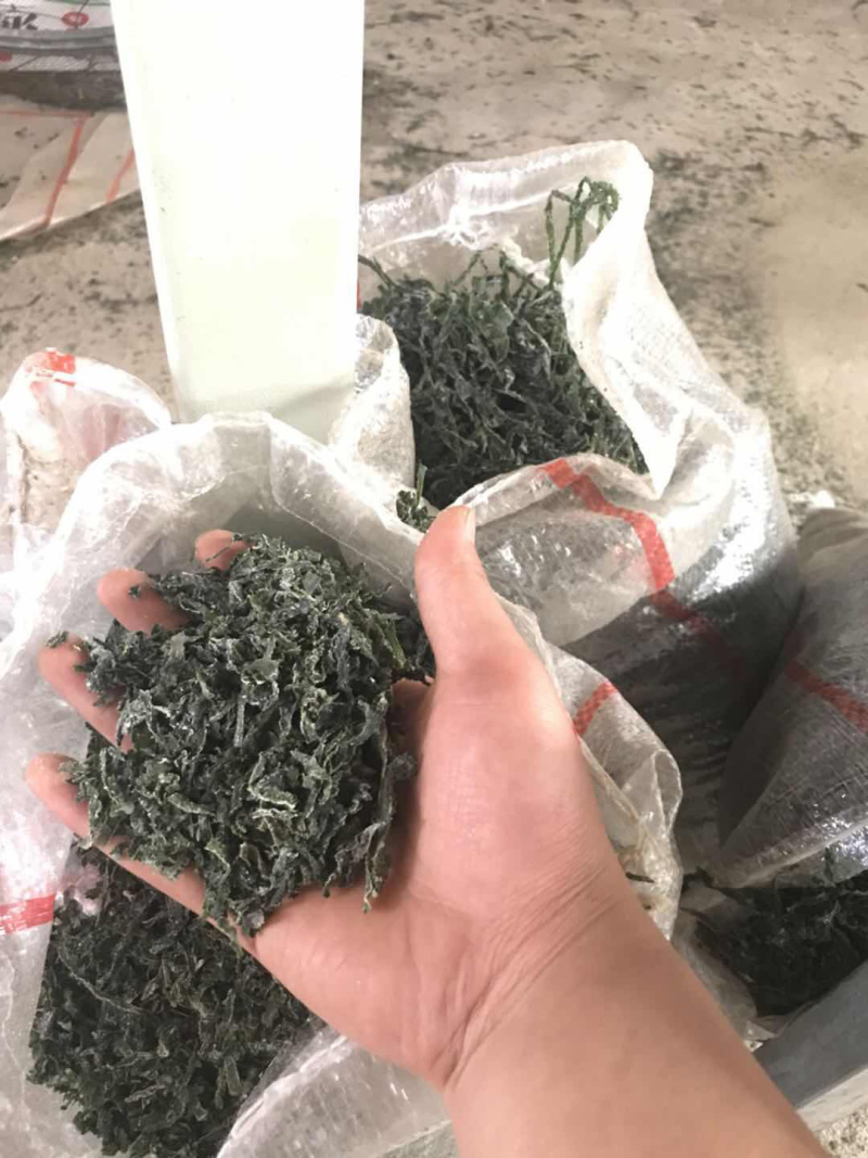 烘干海带丝干货碎丝早点海带丝