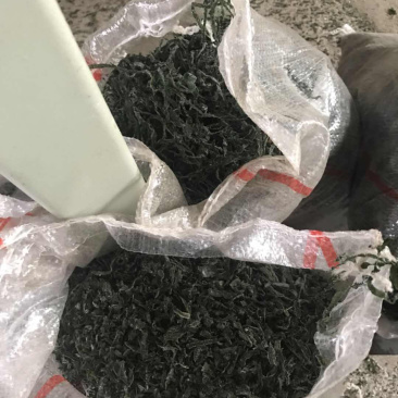 烘干海带丝干货碎丝早点海带丝