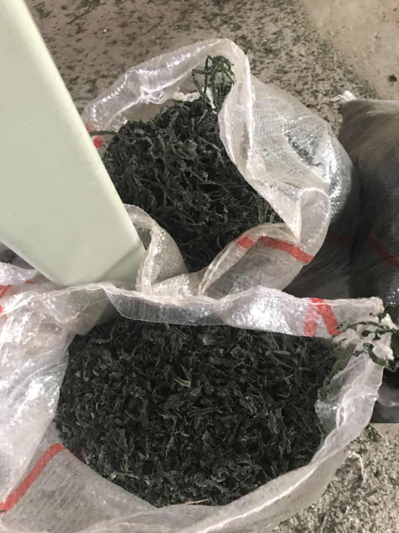 烘干海带丝干货碎丝早点海带丝