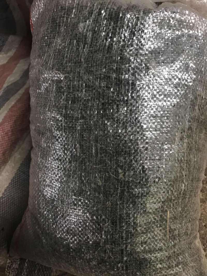 烘干海带丝干货碎丝早点海带丝