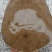 甲鱼，水鱼，鳖，