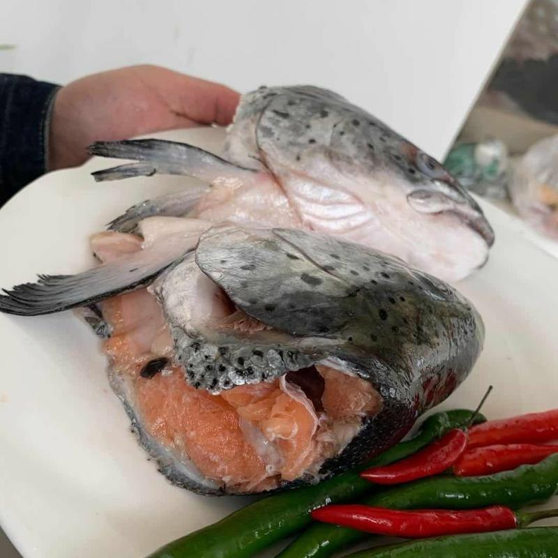 新鲜三文鱼头鱼头鱼排鱼骨烧烤火锅食材鱼鲜美清蒸香煎