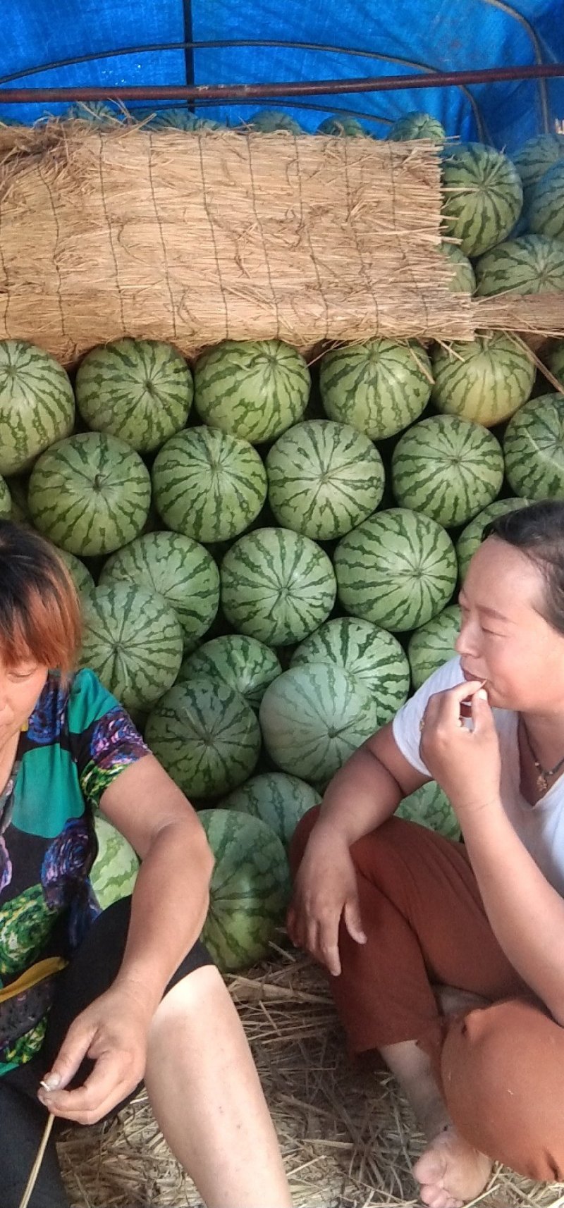 西瓜