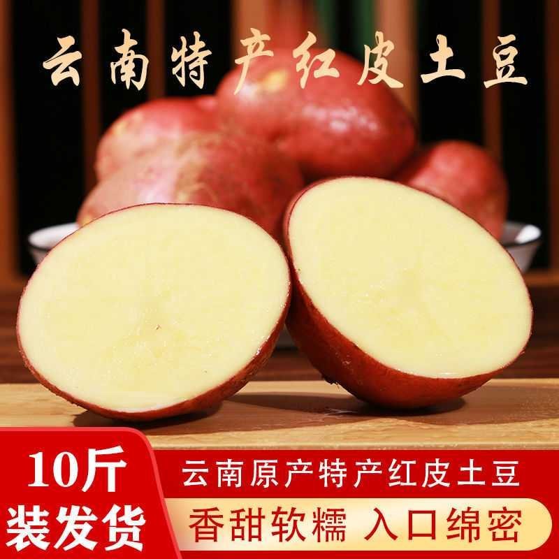 土豆云南马铃薯红皮土豆黄心洋芋大山里的绿色食品