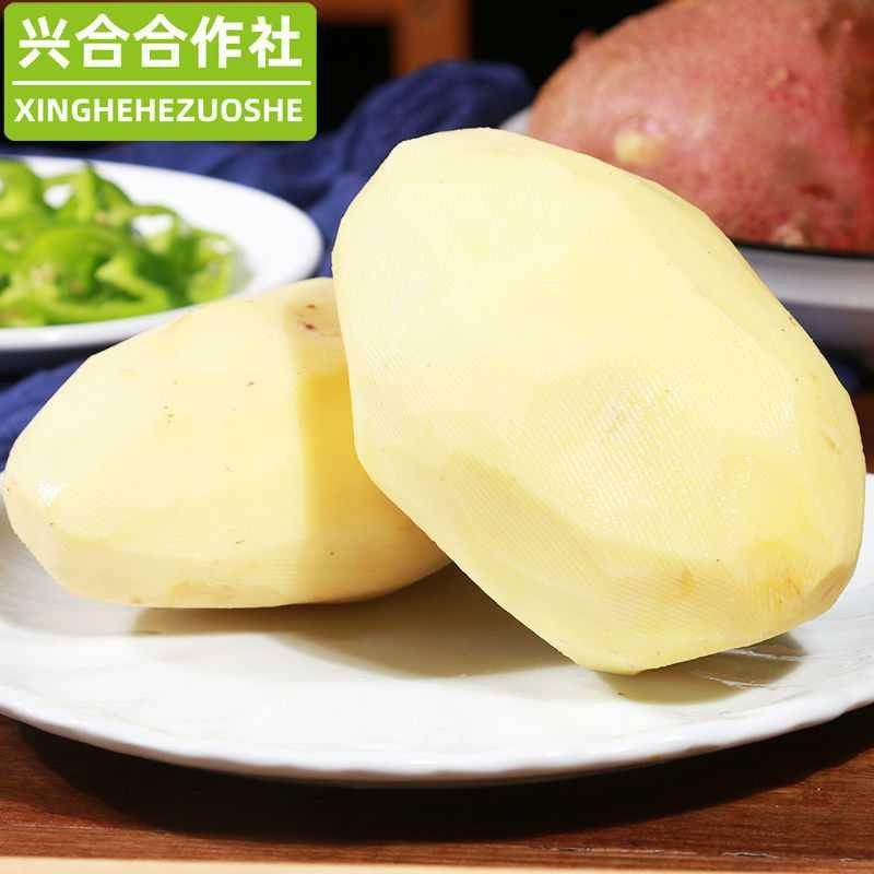 土豆云南马铃薯红皮土豆黄心洋芋大山里的绿色食品