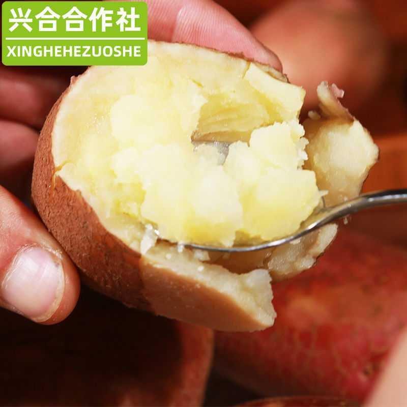 土豆云南马铃薯红皮土豆黄心洋芋大山里的绿色食品