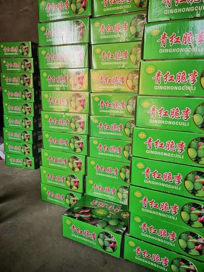 半边红李子，正宗四川省宜宾屏山李子！！！