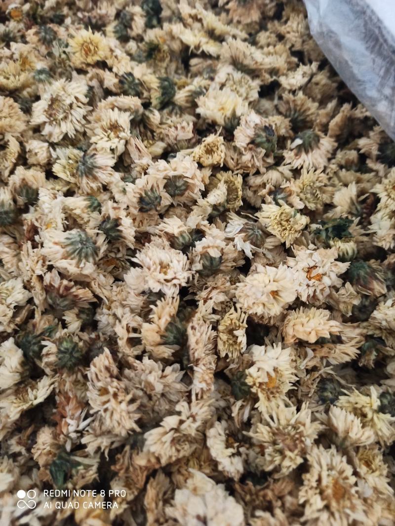 杭州白菊散装正品无硫专营批发