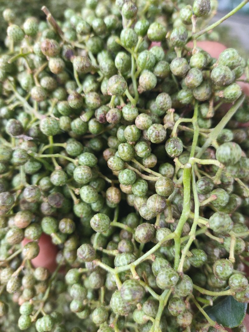鲜花椒，花椒